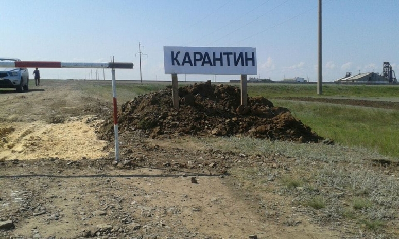 Из-за вспышки сибирской язвы в Павлодарской области объявлена ЧС
