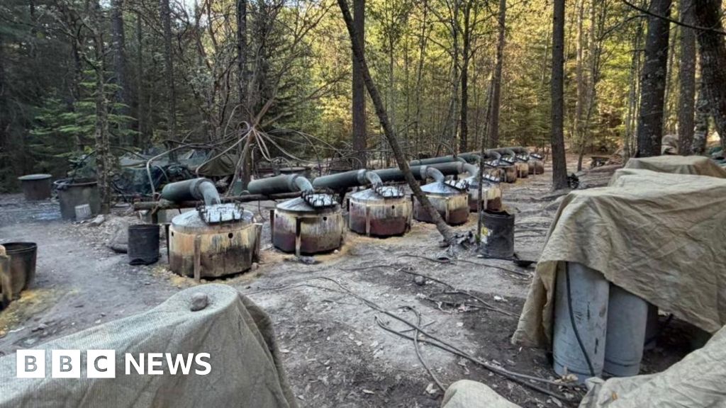 Мексика расследует гибель американских чиновников в автокатастрофе