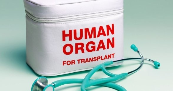 Более 1400 человек в Азербайджане согласились стать донорами после смерти