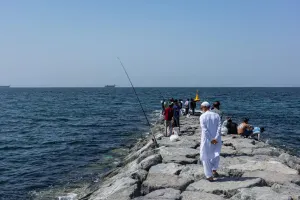 Трамп требует от НАТО «держаться подальше» от Ормуза