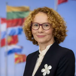 Саммит НАТО в Анкаре будет сосредоточен на практической реализации решений - замгенсека