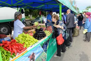 В Астане свою продукцию представят Карагандинская и Восточно-Казахстанская область