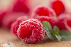 Более 800 миллионов тенге выдали под фиктивные посевные малины в Жамбылской области