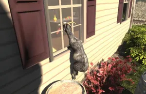 В Goat Simulator нашли отсылку к Diablo 2