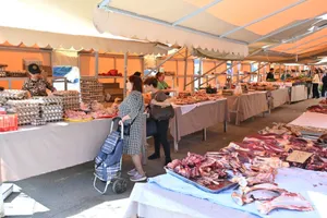 В Алматы представят 150 тонн мясной продукции из области Абай