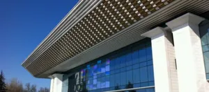 Взломать сервер Дворца Республики могли хакеры из БельгииЭксклюзив