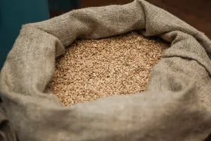 Экспорт зерна и сахара в страны ЕАЭС временно запретила Россия