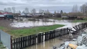 Уровень воды повысился в Бухтарме: в ВКО подтопило село