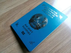 Штраф на семь миллионов: более 250 человек лишились гражданства РК в ВКО