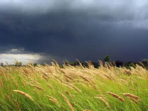 Неустойчивая погода сохранится в Казахстане
