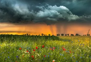 Дожди и грозы пройдут в Алматы и Шымкенте