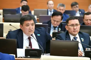 Закрепить право казахстанцев подавать иски к психологам предлагает депутат