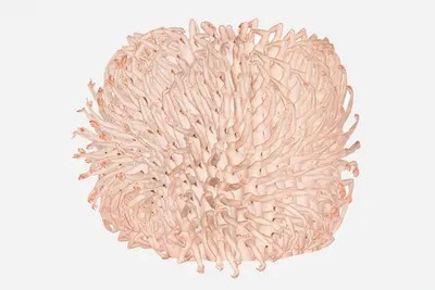 Умышленное знакомство: у кого учиться нетворкингу?