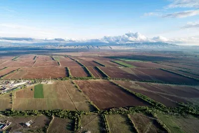 Неиспользуемые земли возвращены государству в Костанайской области