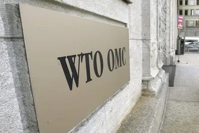 Эксперт: В составе ВТО Казахстан сохранит все экспортные таможенные пошлины