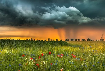 Дожди и грозы пройдут в Алматы и Шымкенте